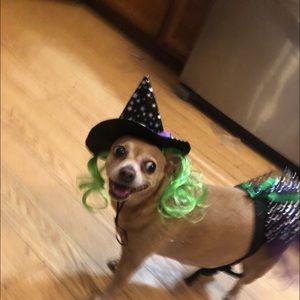 Meet your Posher, Sally